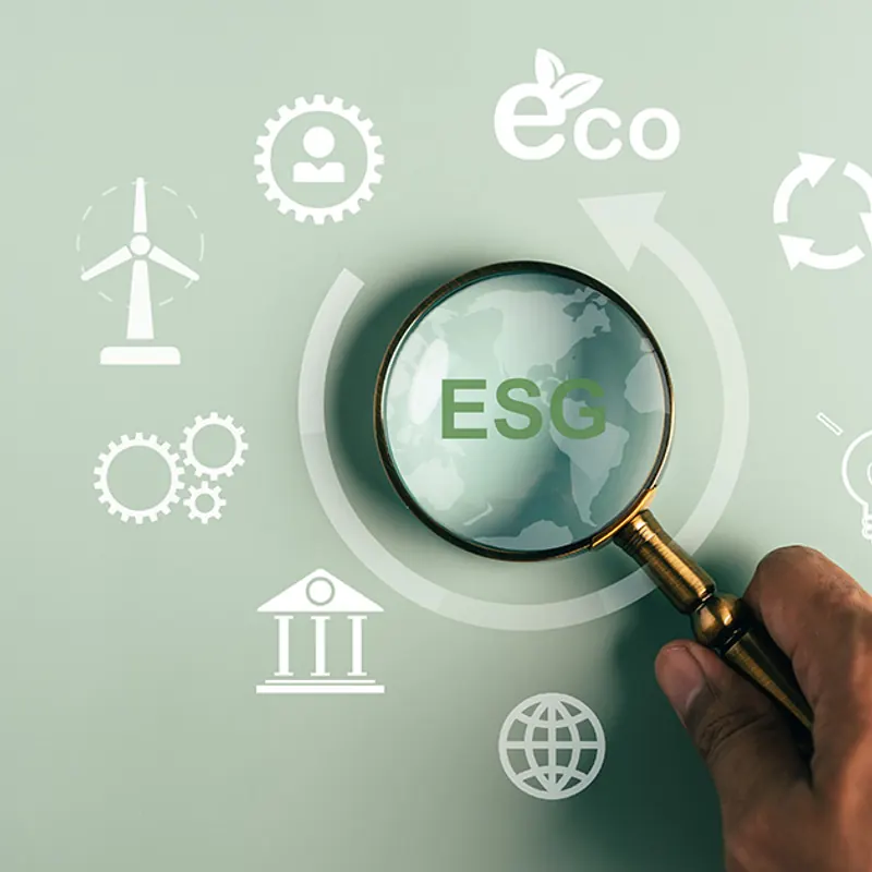 Ilustracija za uslugu ESG standardizacija
